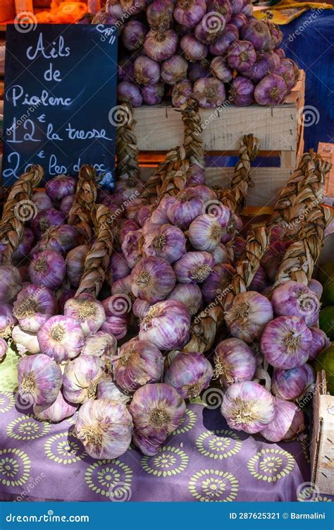 New Harvest of Fresh Organic Aromatic Violet Garlic, English ...