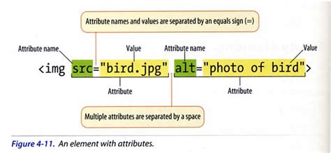 HTML Attributes Explained