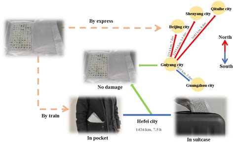 In Vitro Techniques for Shipping of Micropropagated Plant Materials