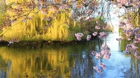 Image result for Free Desktop Backgrounds for Windows 10 Spring