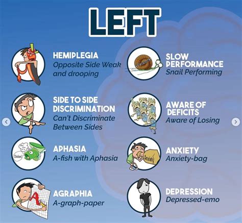 Left vs Right Stroke | Nursing mnemonics, Nursing school survival ...