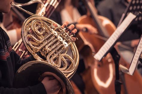 French Horn - Asheville Music School