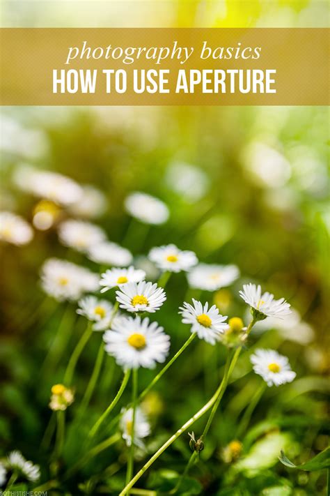 Image result for Aperture Tutorial
