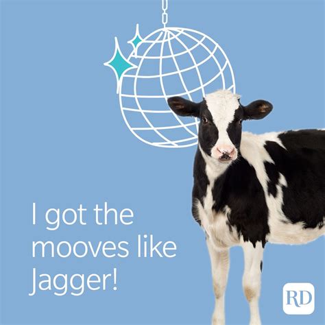 50 Cow Jokes That Are Udderly Hilarious | Reader's Digest