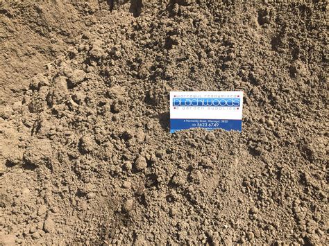 Sandy Loam Soil