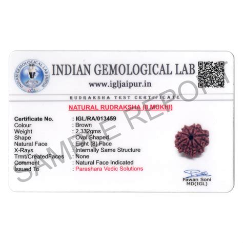 Arkam - Premium range of spiritual products|ARKAM Eight Mukhi Rudraksha ...