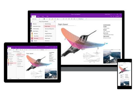 Image result for OneNote Program