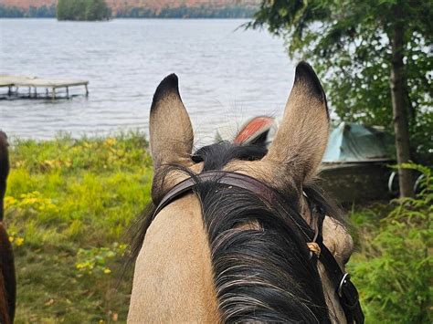 SOUTH ALGONQUIN TRAILS - All You Need to Know BEFORE You Go 2026 (with ...