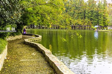 The 10 Best Last Minute Hotels in Qianjiang 2023 - Tripadvisor