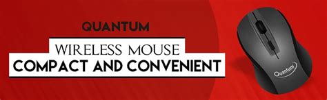 Amazon.in: Buy QUANTUM QHM262W Nano USB 2.4 Ghz Receiver Cordless ...