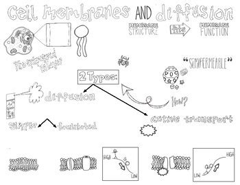 Image result for Cell Diffusion Project