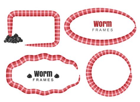 Image result for Segmented Worm Drawing