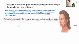 Ace Achievers Dental Academy