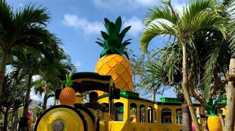 Admission Ticket for Nago Pineapple Park in Nago City | LAST MINUTE