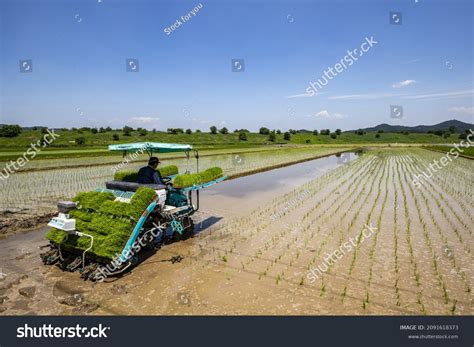 376 Korean Agricultural Equipment Images, Stock Photos & Vectors | Shutterstock