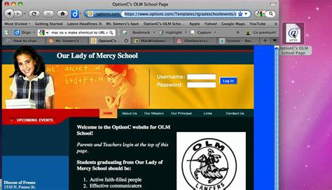Internet Shortcut 的图像结果