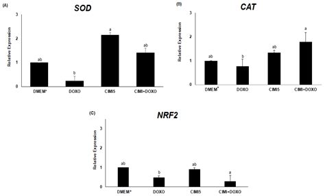 Protective Effect of Cimicifuga racemosa (L.) Nutt Extract on Oocyte ...