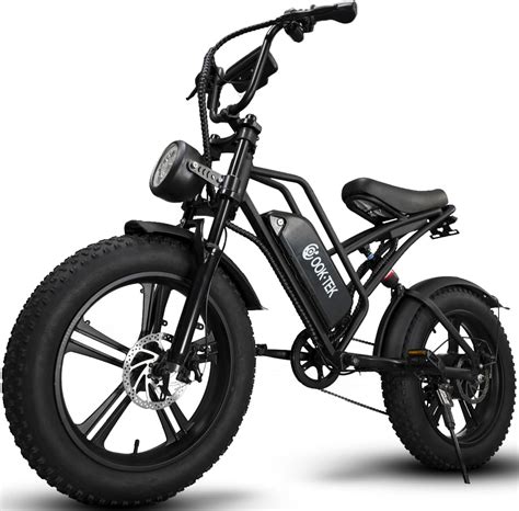 Buy Electric Bike for Adults, 750w Electric Bicycle 20 Inch Fat Tire ...