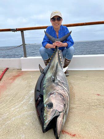 Seaforth Sportfishing (San Diego) - All You Need to Know BEFORE You Go