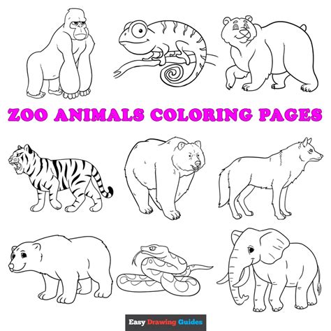 Zoo Animals Color Sheet