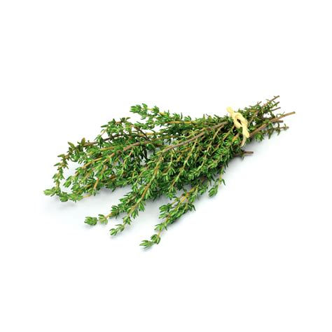 Thyme – Naturanna