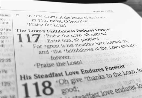 What is the shortest chapter in the NIV? - BibleAsk