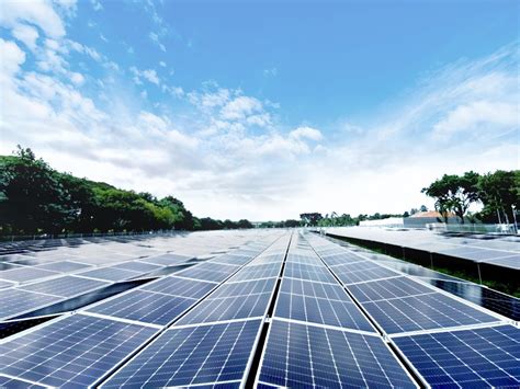 Terrenus Energy Office Photos | Glassdoor