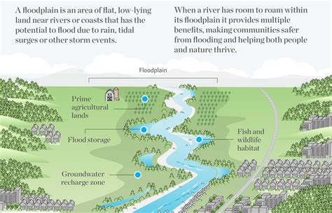 Two-Minute Takeaway: What is a Floodplain? — The Nature Conservancy in ...
