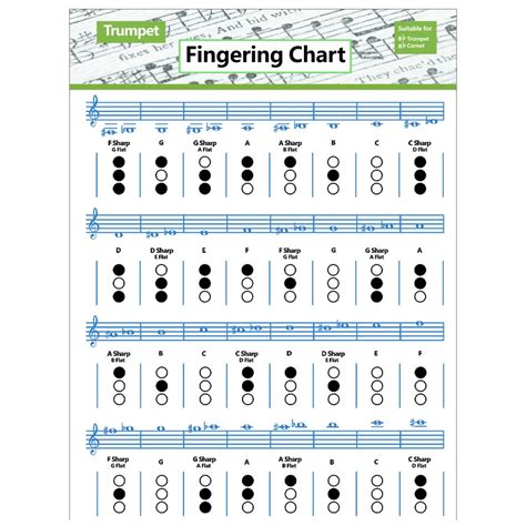 Beginner Happy Birthday Recorder Finger Chart at Lucinda Wise blog