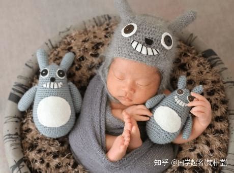 国内去年新生婴儿逾48万 华裔婴儿占近12% – 988