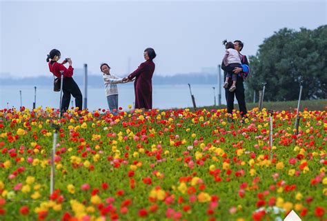 开渔了！16日12时起泉州渔船开启新一轮“耕海牧渔”-泉州网|泉州晚报社