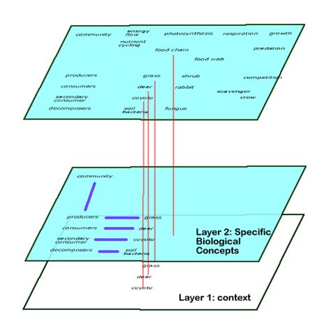 Information Type 的图像结果
