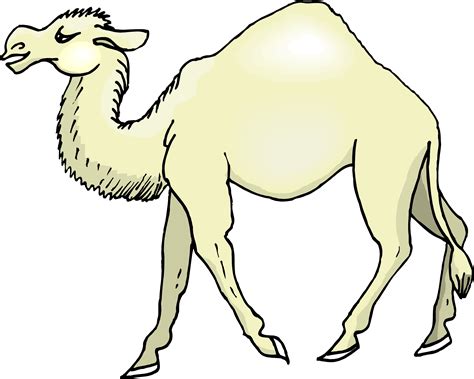 Free Camel Cartoon Pictures, Download Free Camel Cartoon Pictures png ...