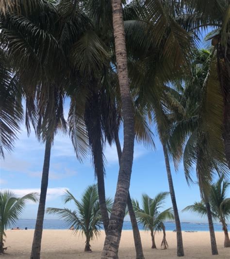 OCEAN CORAL & TURQUESA - Updated 2025 Reviews, Photos & Prices