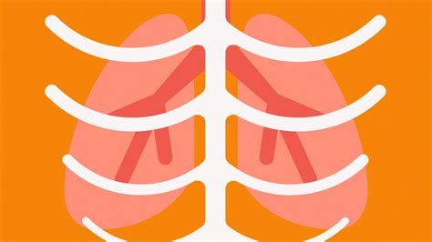 Non-Small-Cell Lung Cancer: Symptoms, Treatment, and More | Everyday Health