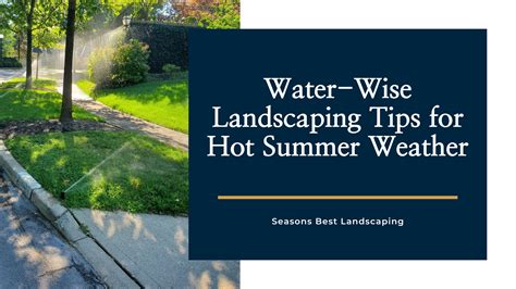 Best Time To Water Plants In Hot Weather