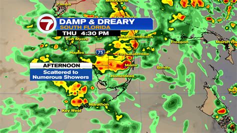 Damp and Dreary but Not as Hot this Thursday - WSVN 7News | Miami News ...
