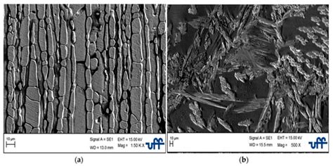 Microstructural, Mechanical, and Electrochemical Analysis of Duplex and ...