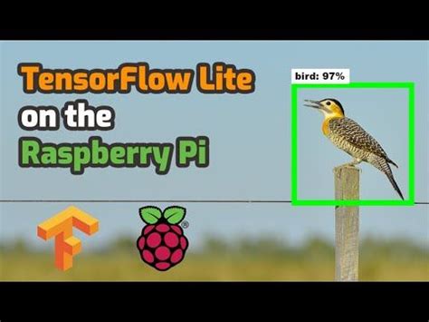 Image result for Run Tensorflow Image Detection Model On RPI