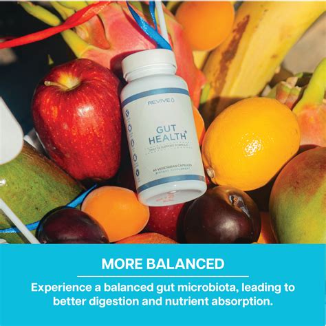 Best Gut Health Supplements | Revive MD