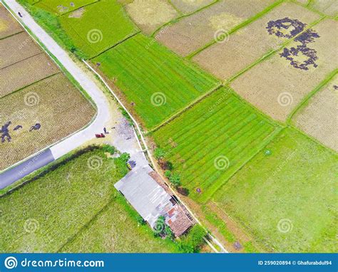 Image result for 3-Way Intersection