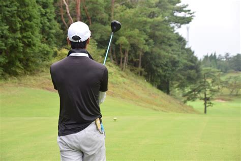 SIM2 Driver 的图像结果