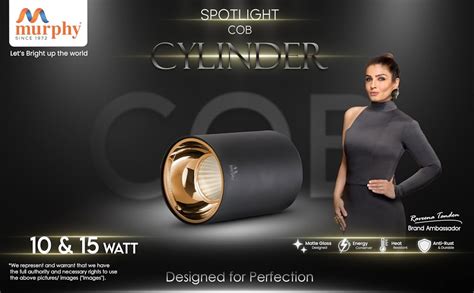 Murphy 10W Black Body Cylindrical Surface Mounted Spot Light Down Light ...