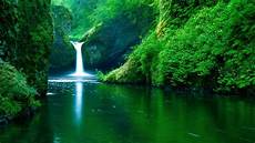 Live Wallpapers by 33 Best Live Wallpapers Free To The Wow Style Live Wallpapers