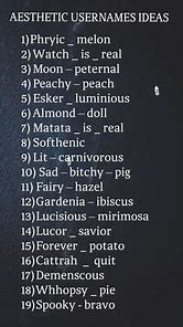 Image result for Aesthetic Username List
