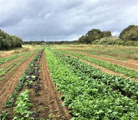 Peconic Land Trust: New & Returning Farmers Join PLT for the 2024 ...