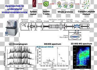 Image result for Orbitrap Spectrometer PNG