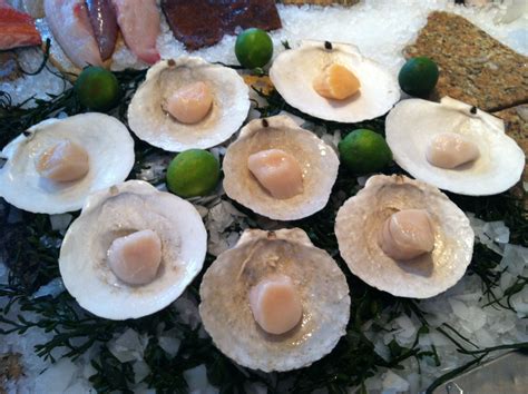 The Edible Ocean: Scallops 101