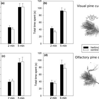 Image result for Vision Experiment