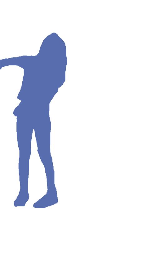 Full Body TikTok Dancing - Dataset Ninja